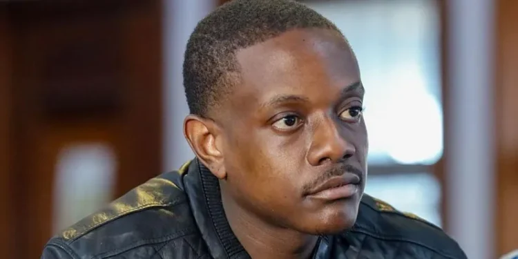 Mugabe’s son pleads guilty to attempted murder in South Africa