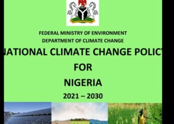 Why government climate policies fail in communities—and how to fix it | By Audu Liberty Oseni