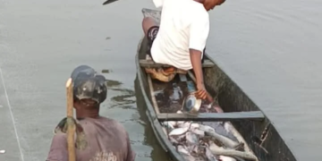 Anambra community seeks access road to fishing lakes