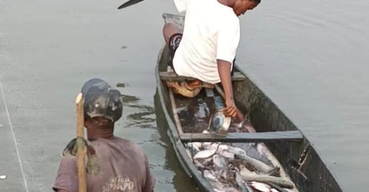 Anambra community seeks access road to fishing lakes