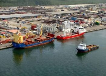 Forty-three ships of imported fresh fish, sugar soybeans arrive Lagos ports