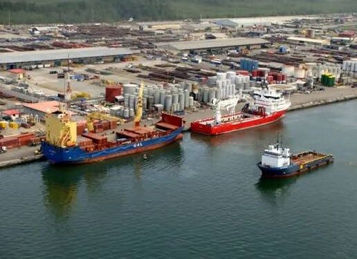 Forty-three ships of imported fresh fish, sugar soybeans arrive Lagos ports