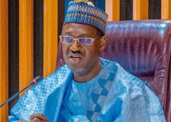 Dangiwa breaks silence after he was sacked as housing minister