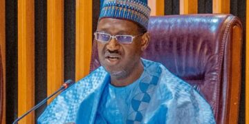 Dangiwa breaks silence after he was sacked as housing minister