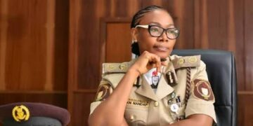 NIS boss suspends comptrollers, orders probe into alleged border extortion