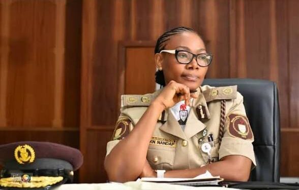 NIS boss suspends comptrollers, orders probe into alleged border extortion