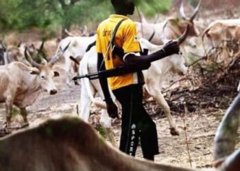 Nigerian, Benin militias kill 41 herders in border raid — Report