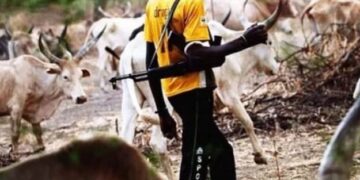 Nigerian, Benin militias kill 41 herders in border raid — Report