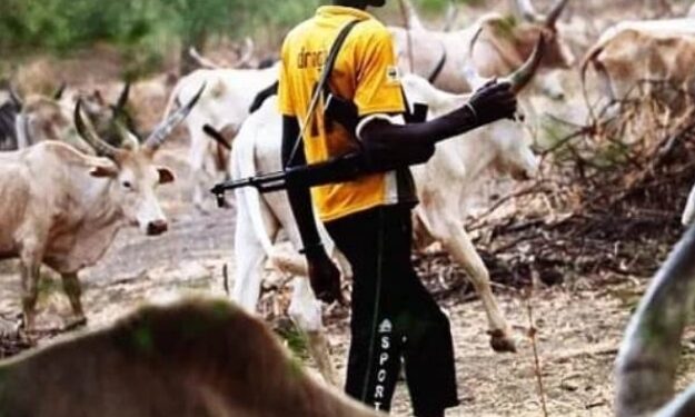 Nigerian, Benin militias kill 41 herders in border raid — Report