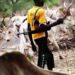 Nigerian, Benin militias kill 41 herders in border raid — Report