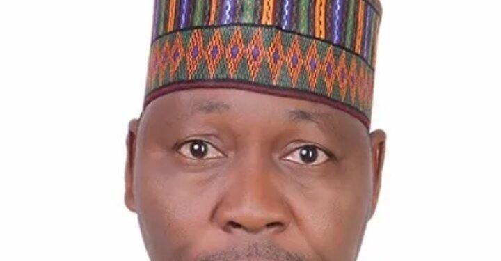 Why the elimination of Abu-Bilal Al-Minuki. must mark a turning point in Nigeria’s war against terror