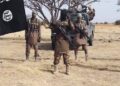 Terrorists abduct many students in Borno early morning attack