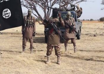 Terrorists abduct many students in Borno early morning attack