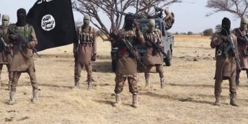 Terrorists abduct many students in Borno early morning attack