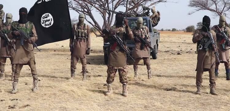 Terrorists abduct many students in Borno early morning attack