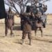 Terrorists abduct many students in Borno early morning attack