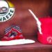 Ohanaeze inaugurates panel on unlawful detention of Igbos globally