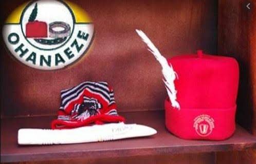 Ohanaeze inaugurates panel on unlawful detention of Igbos globally
