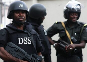 Alleged Coup Plot Against Tinubu: Judge orders DSS to investigate evidence leak on social media