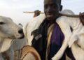 Benue govt confirms  scores were killed in fresh herdsmen attack on Otukpo LGA