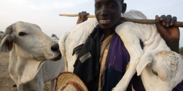 Benue govt confirms  scores were killed in fresh herdsmen attack on Otukpo LGA