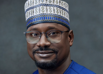 REA admits govt failure, says private solar now supplies 20% of Nigeria’s electricity, may hit 50% by 2028