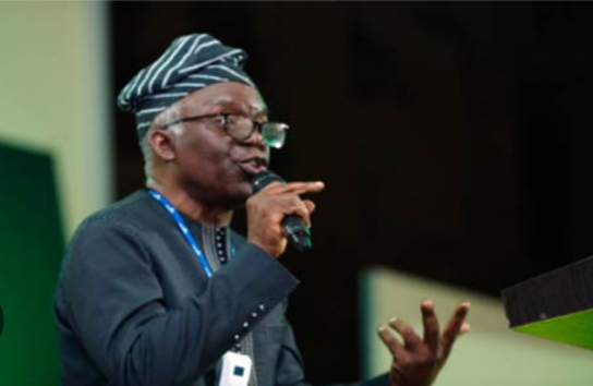 Government has a legal duty to provide cash transfers and grants to poor citizens, Falana Says