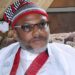 Ohanaeze backs Ejimakor for suing Lolo Nneka Chimezie over defamatory remarks against Nnamdi Kanu