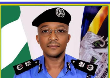 Enugu: Police impound 195 vehicles for registration, number plate violations
