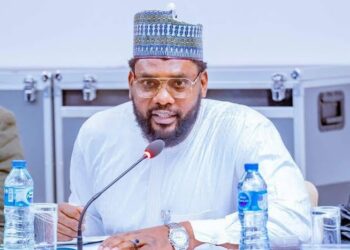 Redefining Nigeria’s renewable energy vision | By Emma Isa