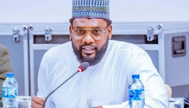 Redefining Nigeria’s renewable energy vision | By Emma Isa