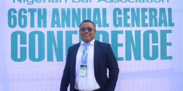 From rookie to rainmaker: The price of building a reputable legal practice | By Ifeanyi Ejiofor
