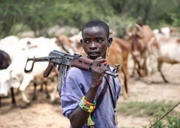 FG downplays suspicion, selects Plateau, Benue, FCT, two other states for pilot ranching programme