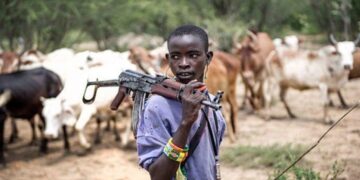 FG downplays suspicion, selects Plateau, Benue, FCT, two other states for pilot ranching programme