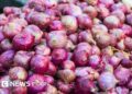 Onion prices soar by 200% in Lago