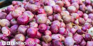 Onion prices soar by 200% in Lago