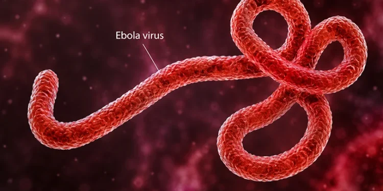 Ebola-Virus-Disease